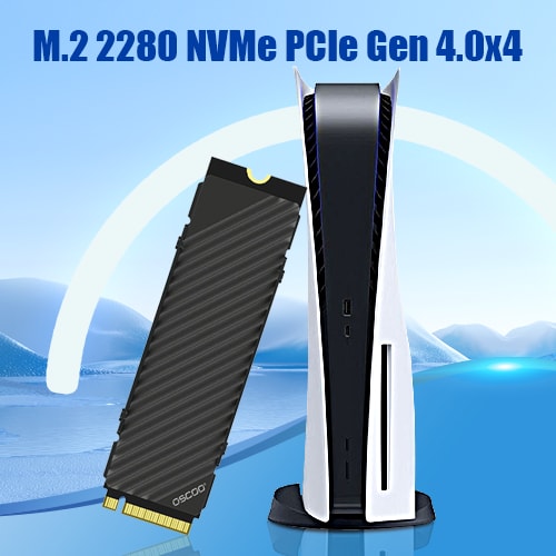 M.2 NVMe PCIe Gen4.0*4 2280 SSD with Heatsink