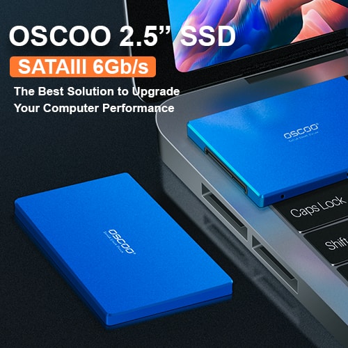  2.5 Inch SATA SSD Blue Series
