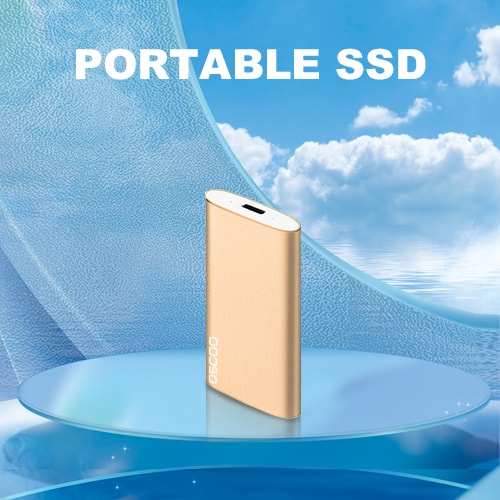 MD003 Portable SSD Type-C